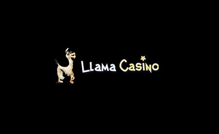 Artikel Llama Gaming