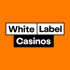 Start Your Own Online Casino Website with White Label Casinos