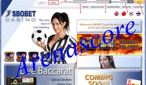 Menemukan Kemenangan di Sbobet 338 – Situs Casino Online Terbaik