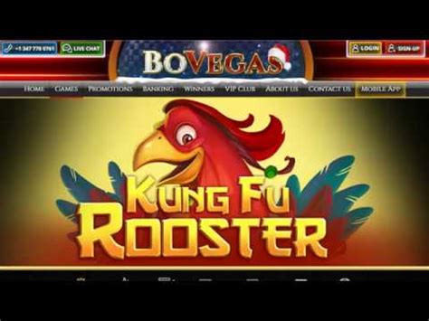 Pilihan Populer untuk Pembayaran Online di Casino