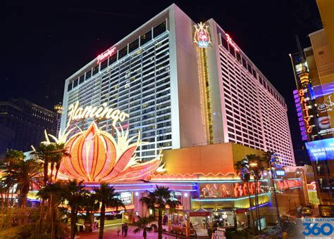 Flamingo Las Vegas Hotel & Casino: The Ultimate Getaway in the Heart of Sin City