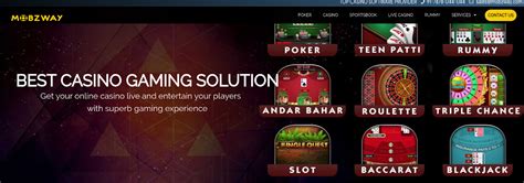 Artoon Solutions: The No.1 Casino Game Development Company in India