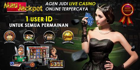 Situs Judi Slot Online Terpercaya: TEXAS88 dan MADU303