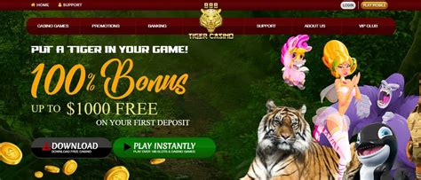 Tiger Casino No Deposit Bonus: Unlock Exclusive Offers