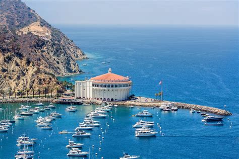 Santa Catalina Island Was a Labor of Love, Science, and Art