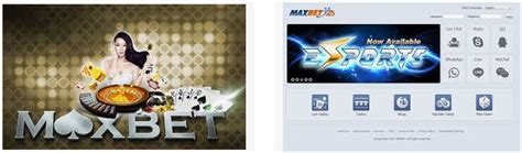 Taruhan Casino Maxbet Online: Menemukan Kasino Online yang Reliable