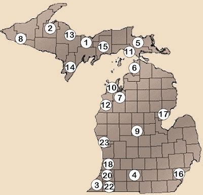 Kedai Kasino di Michigan: Peta dan Informasi