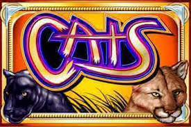 Bermain Slots Cats: Tips dan Fitur Terbaik