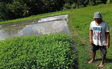 Gaji dan Pekerjaan untuk Pekerja Kasino Singapura