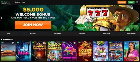 Best Montana Online Casinos & Gambling Sites for 2024