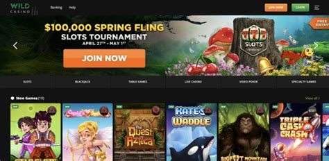 Panduan Menggunakan Online Casino di Korea