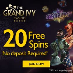 The Grand Ivy Casino: Experience the Thrill of Online Gaming