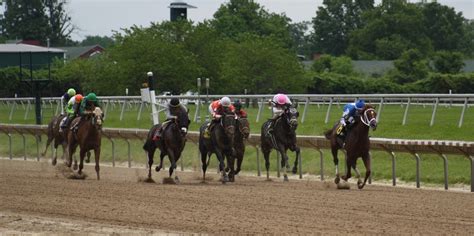 Parx Casino: The Ultimate Destination for Live Racing and Thrilling Entertainment