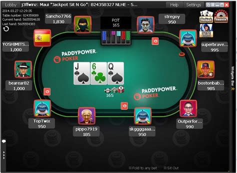 Panduan Bermain Poker di Paddy Power