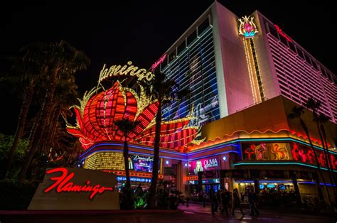 Flamingo Las Vegas Hotel & Casino: The Iconic Resort on the Strip