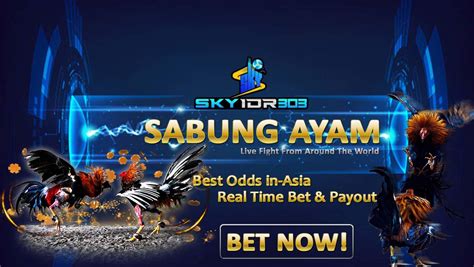 Live Casino: S128 Net – Situs Agen Sabung Ayam Terpercaya