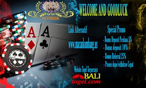 RajawaliQQ: Situs Bandar Judi Poker PKV dan QQ Online Terbaik di Indonesia