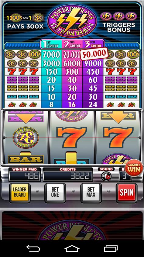 Mengenal Wild Cougar [Power Pay]: Slot Machine Video yang Menarik