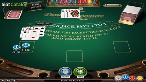 Double Exposure Blackjack Professional Series Low Limit Slot Review