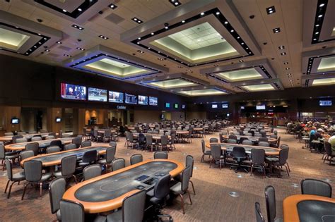 The Arena Poker Room: Where the Action Never Stops