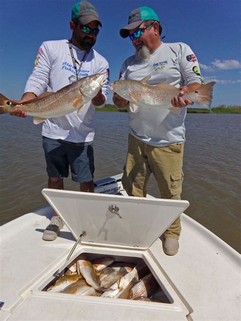 Perubahan Takik Redfish di Louisiana: Upaya Perlindungan Sumber Daya Ikan