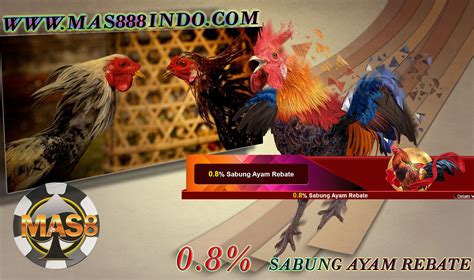 Penggerebekan Arena Judi Sabung Ayam Dekat Ponpes Al-Muhibbin Jombang