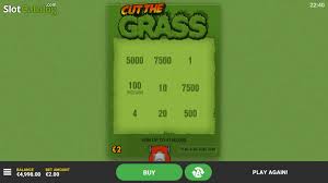 Mengenal Game Cut The Grass: Tips dan Panduan Bermain