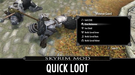 Edit/Copy Equipment States & SlotMask: A Mod for Skyrim Special Edition