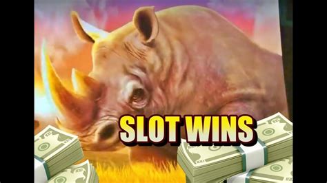 Raging Rhino Slot: Menjelajah Jungle untuk Menang