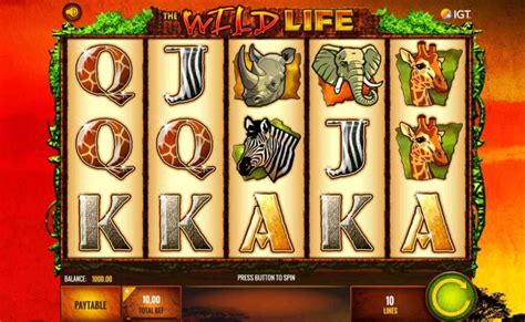 Permainan Slots Berbasis Binatang: Pengalaman Menarik dan Fitur Unik