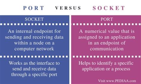 Perbedaan Port dan Socket dalam Jaringan Komputer