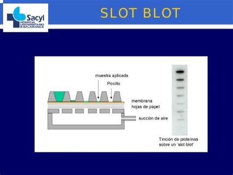 Mengenal Beda Blot dan Slot di Broker: Pentingkahnya dalam Investasi