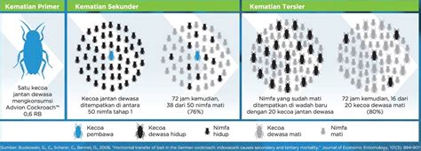 Mengapa Si Sales Sendiri Tidak Menggunakan Produk dari Brand X