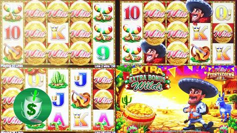 Merasa Sama: Petualangan Menyenangkan di Wild Fiesta Coins