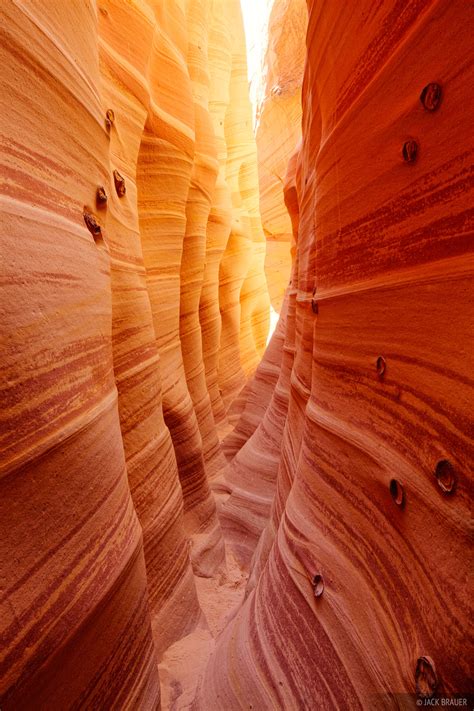 Escalante Canyons – Grand Staircase Escalante: Menjelajahi Keajaiban Alam