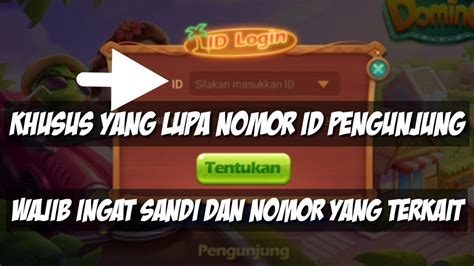 Higgs Domino Island: Cara Mengembalikan Akun Pengunjung yang Hilang dan Berhati-hati dengan Phising