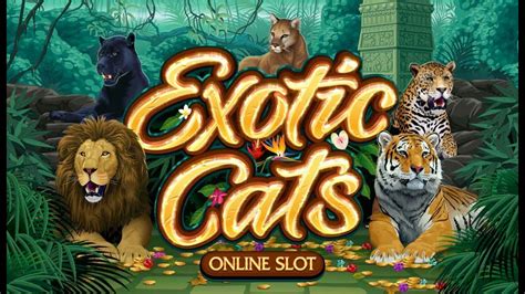 Membahas Game Slot Exotic Cats: Fitur, Statistik, dan Permainan