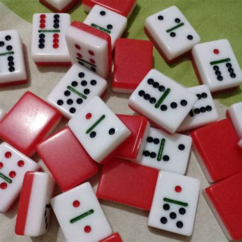 Domino Set Double 6: A Fun and Durable Game for the Whole Family