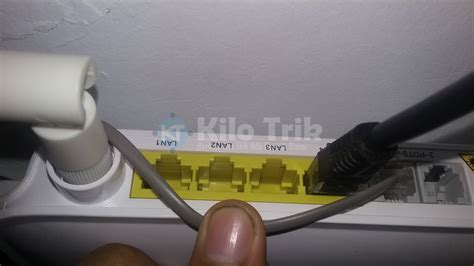 Jual Barel RJ45 RJ 45 Female Double Cabang 2 3 Slot Sambungan Kabel LAN UTP