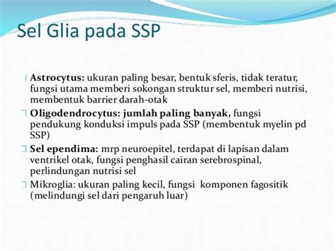 Keberlanjutan Diagnosa Domino: Mengintip Signifikan dari KBBI