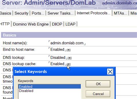 Mengatasi Masalah “Waiting for DNS Availability” pada Domino Server