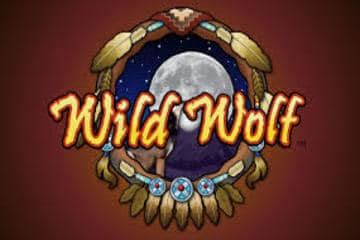 Wild Wolf Slot: A Howling Good Time Online