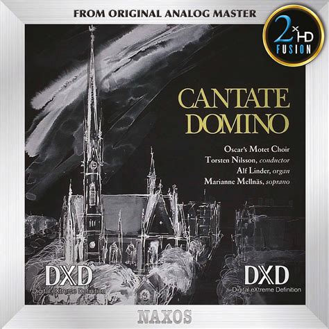 Cantate Domino Choir: A Journey of Faith and Harmony