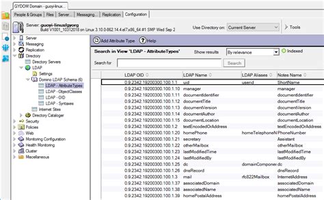 domino ldap filter authentication