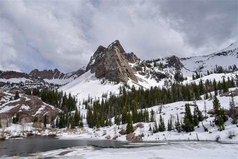 Peran Pembentukan Air dari Melting Snow