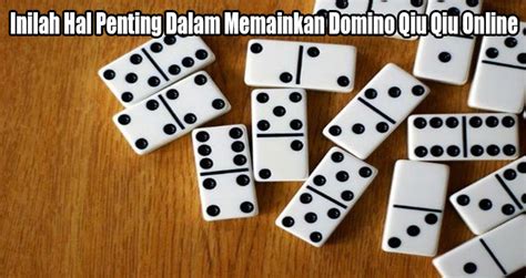 hal penting dalam domino qiu qiu