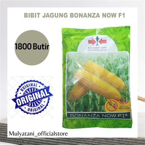 JUAL BIBIT JAGUNG MANIS BONANZA F1 CAP PANAH MERAH