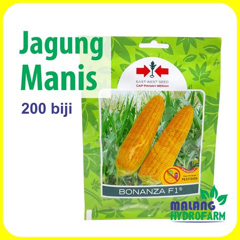 BIBIT JAGUNG MANIS BONANZA F1: Ternyata Harus Dipertimbangkan