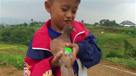 Perdamaian dan Cinta dalam Berbagai Budaya: Burung Pembawa Hoki