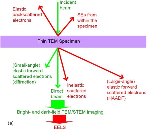 Mikroskop Elektron: Teori dan Aplikasi